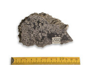 F 00835
<br/>
<br/>
<em></em>